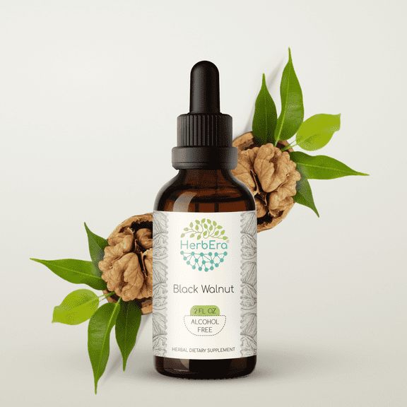 HerbEra Black Walnut Tincture, Herbal Dietary Supplement for Intestinal Health Support, Black Walnut (Juglans nigra) Dried Hull Extract, Natural, Alcohol-Free, Drops 2 oz