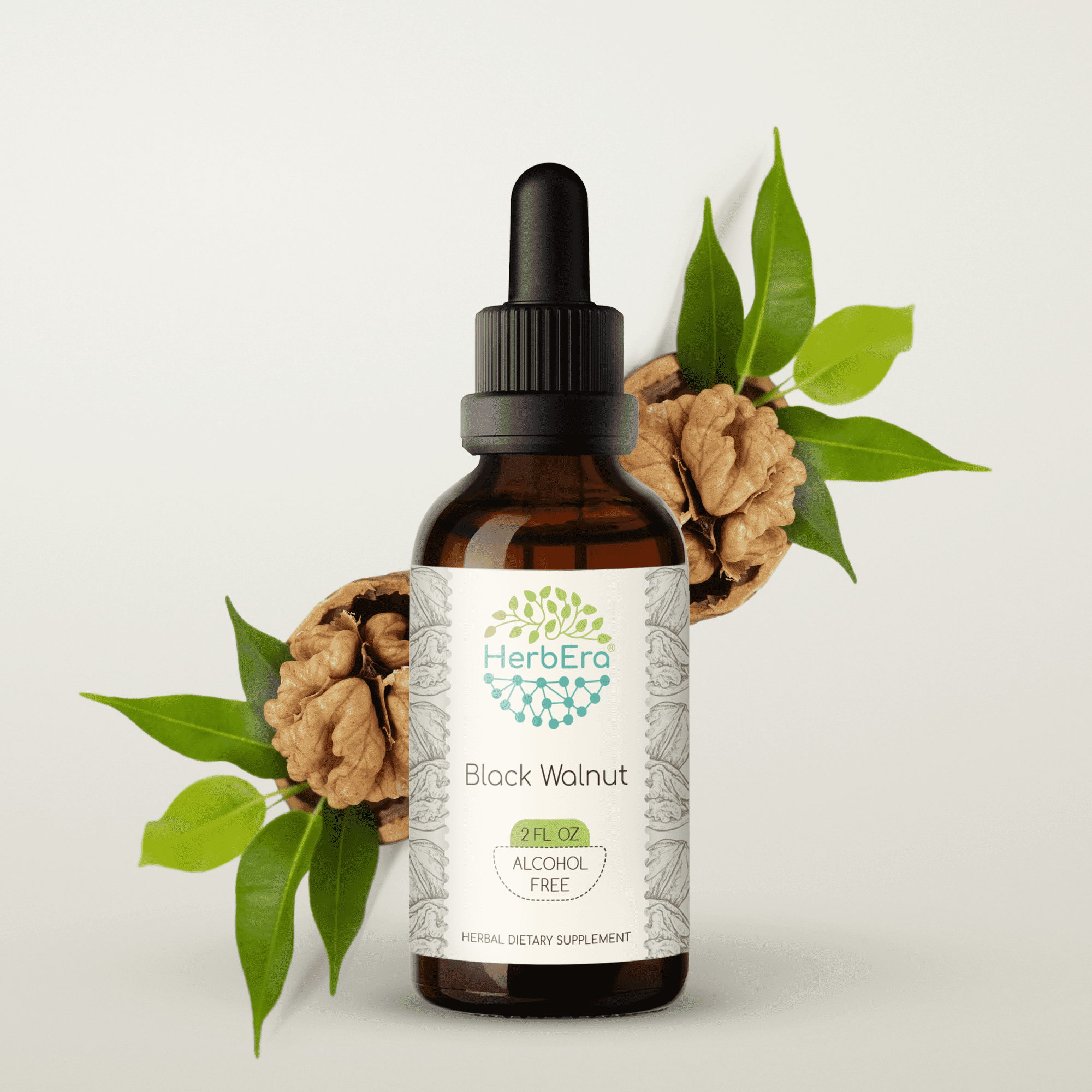 HerbEra Black Walnut Tincture, Herbal Dietary Supplement for Intestinal Health Support, Black Walnut (Juglans nigra) Dried Hull Extract, Natural, Alcohol-Free, Drops 2 oz