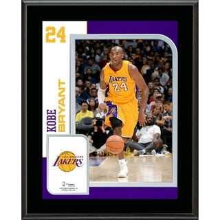 LeBron James Los Angeles Lakers 10.5 x 13 Purple 2018-19 Jersey Style  Number 23 Sublimated Plaque