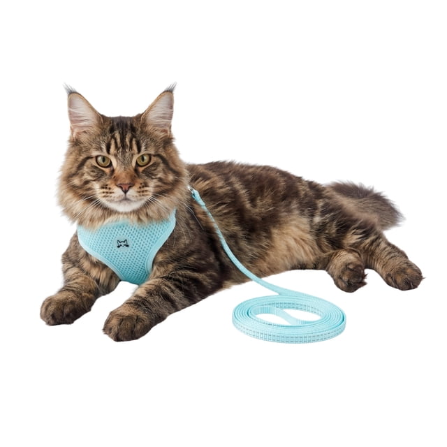 One Paw, Cat Harness & Leash Set, Lightweight, Light Blue