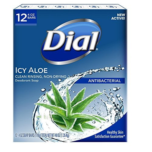 Dial Icy Aloe Bar Soap, 12 Count (4 Ounces Each, 48 Ounces Total