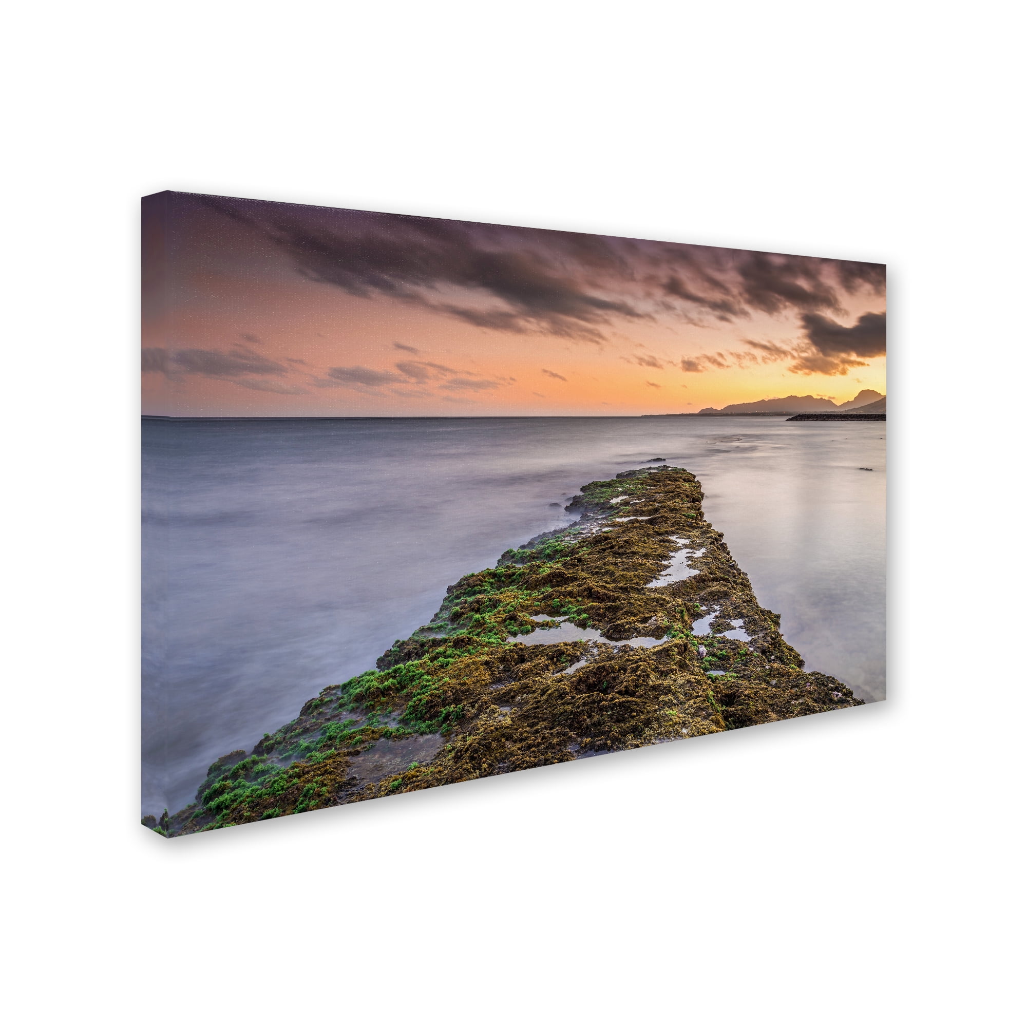 Trademark Fine Art 'Sunset Reef' Canvas Art by Pierre Leclerc