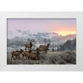 thumbnail image 1 of Kalathas, Nick 18x13 White Modern Wood Framed Museum Art Print Titled - First Light, 1 of 4