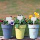 thumbnail image 3 of 100 Piezas Etiquetas de Plantas de Plástico, Etiquetas de Plantas en Forma de T, Etiquetas de Jardín, Etiquetas de Jardín, Etiquetas de Plantas Impermeables para Jardín al Aire Libre, Etiquetas de No, 3 of 5