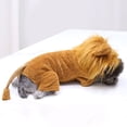 thumbnail image 6 of SAYOO Dog clothing pet pullover solid color short-sleeved hoodie top pet clothing, 6 of 7