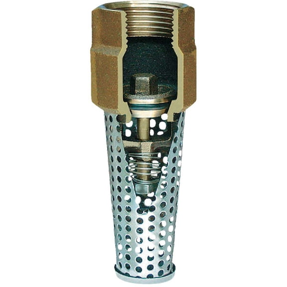 Simmons 1-1/4 In. Silicon Bronze Foot Valve, Lead Free 454SB