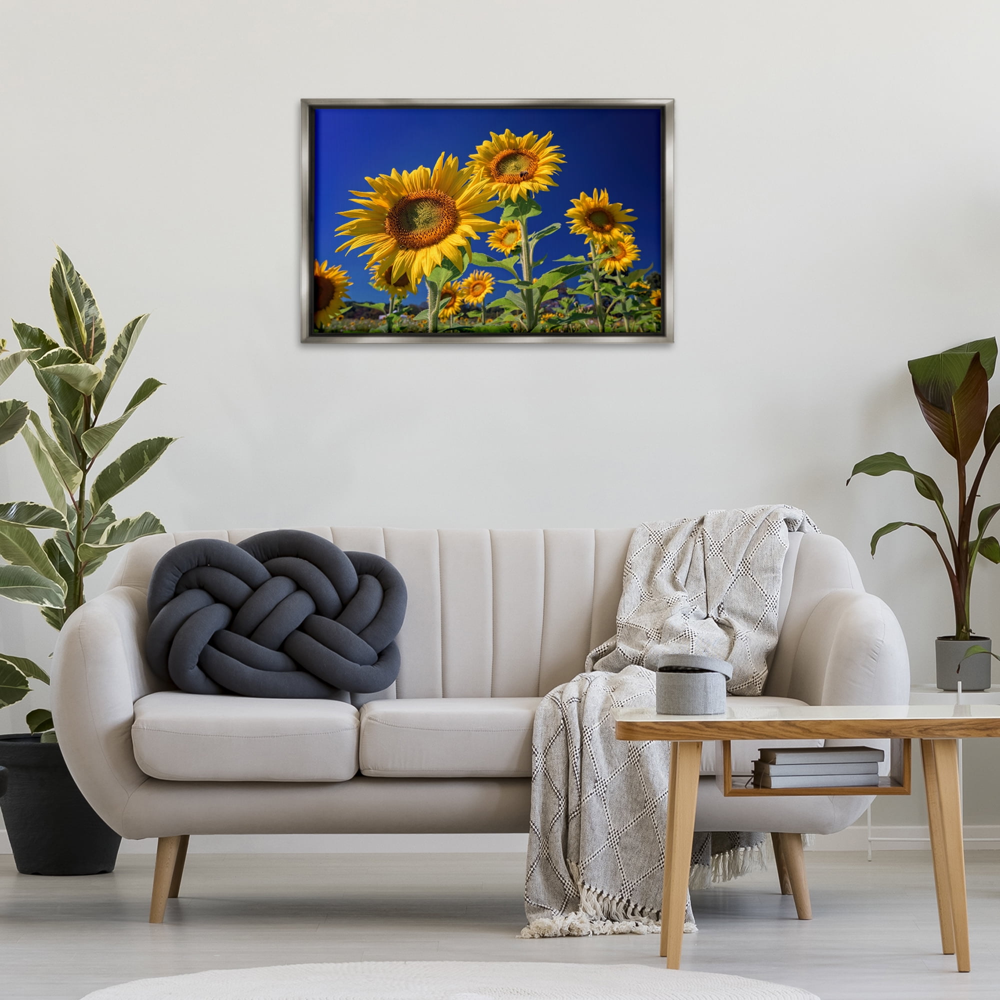 Stupell Industries Bright Sunflowers with Blue Sky Plants & Flowers Photography Gray Floater Framed Canvas Art Print Wall Art, 31 x 21