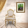 thumbnail image 3 of Grayscale 12x14 Gold Ornate Wood Framed with Double Matting Museum Art Print Titled - Forest Happy Face I, 3 of 4