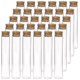 thumbnail image 1 of 30 tubos de prueba de vidrio de 25ml, tubos de prueba planos transparentes de 20100mm con tapones de corcho para experimentos científicos, sal de baño y almacenamiento de dulces Kaili Sencillez, 1 of 2