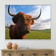 thumbnail image 2 of Close Up Portrait Of A Yak 20 in x 12 in Framed Photography Canvas Art Print, by Designart, 2 of 5