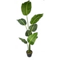 thumbnail image 4 of LCG Florals Artificial Plant, Bird of Paradise, 5 ft, Black Plastic Grower's Pot, 4 of 7