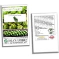 thumbnail image 6 of Churchill Brussels Sprout Seeds for Planting, 300+ Heirloom Seeds Per Packet Non GMO Seeds, Botanical Name Brassica oleracea var. gemmifera, Great Home Garden Gift, 6 of 7