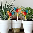 thumbnail image 6 of Bird Shape Plant Self Watering Globes, Glass Water Bulbs Automatic Self Watering Planter Insert for Indoor Plants, 6 of 6