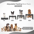 thumbnail image 2 of Elevated Dog Bowls with 4 Height Adjustable Dog Bowl Stand and 2 Stainless Steel Bowls, No Spill Raised Pet Feeder Bowlsfor Dogs and Pets, 2 of 6