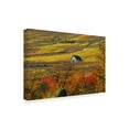 thumbnail image 2 of Trademark Fine Art 'The House of Vines' Canvas Art by Philippe Sainte-Laudy, 2 of 4