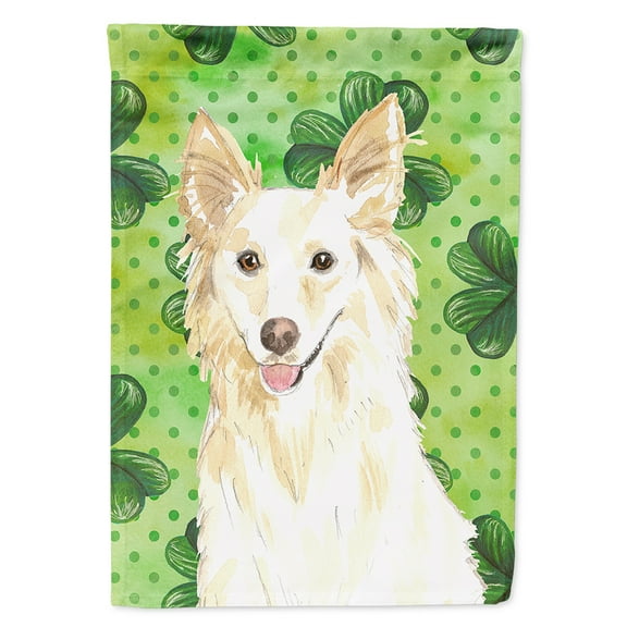 Carolines Treasures CK1782CHF Shamrocks White Collie Flag Canvas House Size  Large multicolor