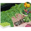 thumbnail image 3 of Bandejas Arranque Semillas para Viverios Jardín Macetas Plederías Viverería Plato 12 Hoyos Plástico Jardinería, 3 of 9