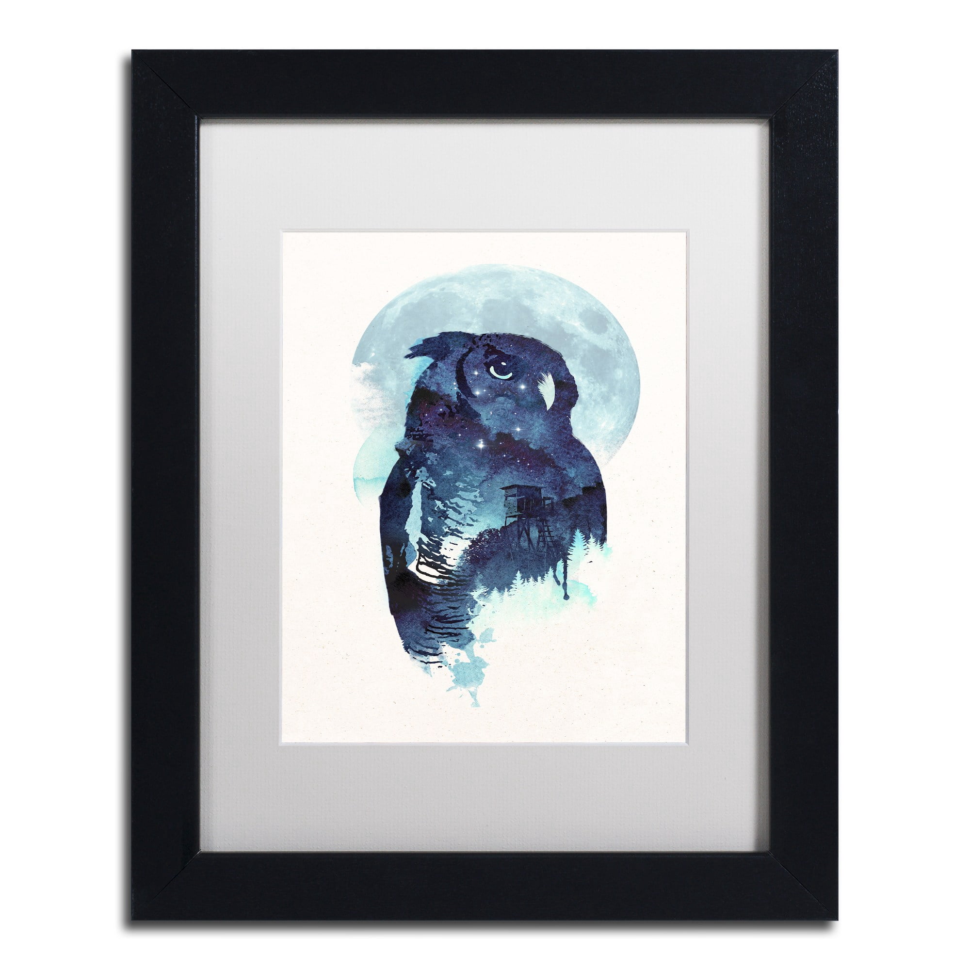 Midnight Owl' Canvas Art by Robert Farkas, White Matte, Black Frame