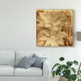 thumbnail image 3 of Trademark Fine Art 'Halia Aloha IV' Canvas Art by Jason Johnson, 3 of 4