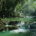 thumbnail image 5 of Chilfamy  Nature Shower Curtain, Tropical Forest Foliage Cascade Rainforest Relaxing National Park Image, Cloth Fabric Bathroom Decor Set with Hooks,Hunter Green Brown White, 5 of 7