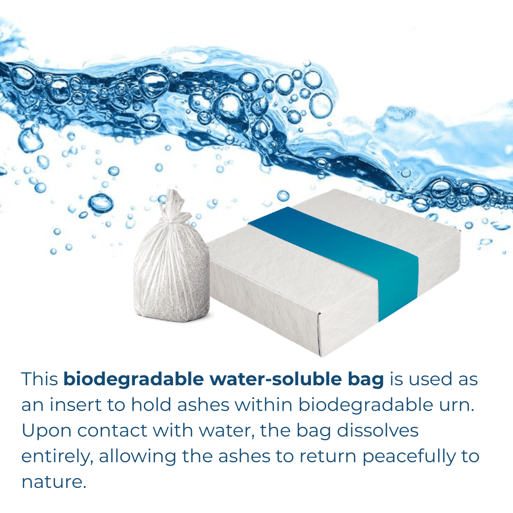 Biodegradable Urn for Human Ashes, Eco-Friendly Urn for Water or Earth Burial, Includes Water Soluble Ash Bag, Adult Size 3" H x 12" W x 14" L. (ANGEL DEEP BLUE)