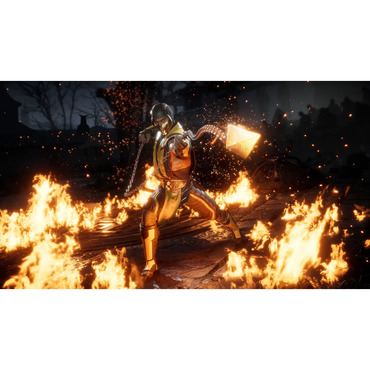  Mortal Kombat 11 - Nintendo Switch : Whv Games: Video Games