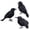 3 Pcs - 1, variant on Halloween Black Crows Feathered Crows Realistic Looking Ravens Large Handmade Black Crow for Halloween Decoration Party Supplies