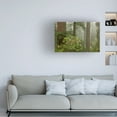 thumbnail image 2 of Trademark Fine Art 'Redwood Fog Rhododendrons' Canvas Art by Mike Jones Photo, 2 of 4