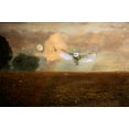 thumbnail image 1 of Night Flight - CANVAS OR PRINT WALL ART, 1 of 1