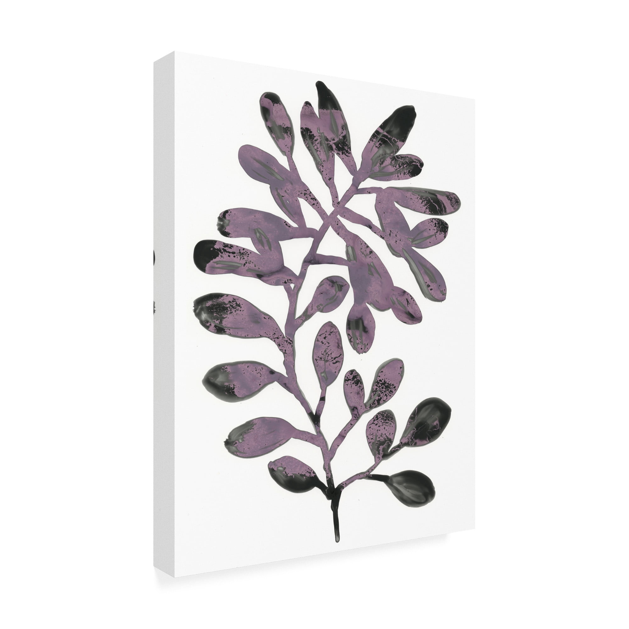 Trademark Fine Art 'Foliage Fossil VIII' Canvas Art by June Erica Vess