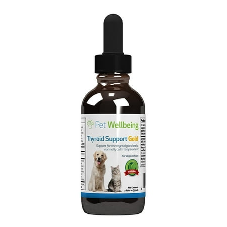 UPC: 0661822600139 | Pet Wellbeing Natural Cat Hyperthyroidism Support – Thyroid Support Gold 2oz (59ml)