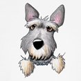 thumbnail image 3 of CafePress - Pocket Schnauzer Kids Baseball Jersey - Kids Cotton Baseball Jersey, 3/4 Sleeve Shirt, 3 of 4