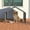 Gray+Metal, variant on JUYG Extra Large Outdoor Dog Tent, Gray, 3-Sided Mesh Windows, Canopy