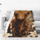 thumbnail image 1 of Balery Cow With Butterflies Lilies Manta de Felpa Suave y Acogedora – Cobija de Franela Aterciopelada para Cama, Lavable y Cálida para Sofá, Mascotas, Transpirable-60"x50", 1 of 7