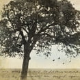 thumbnail image 2 of Melious, Amy 26x26 White Modern Wood Framed Museum Art Print Titled - Under the Trees I, 2 of 4