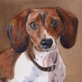 thumbnail image 2 of Fagan, Edie 12x12 Gold Ornate Wood Framed with Double Matting Museum Art Print Titled - Sam Dachshund, 2 of 4