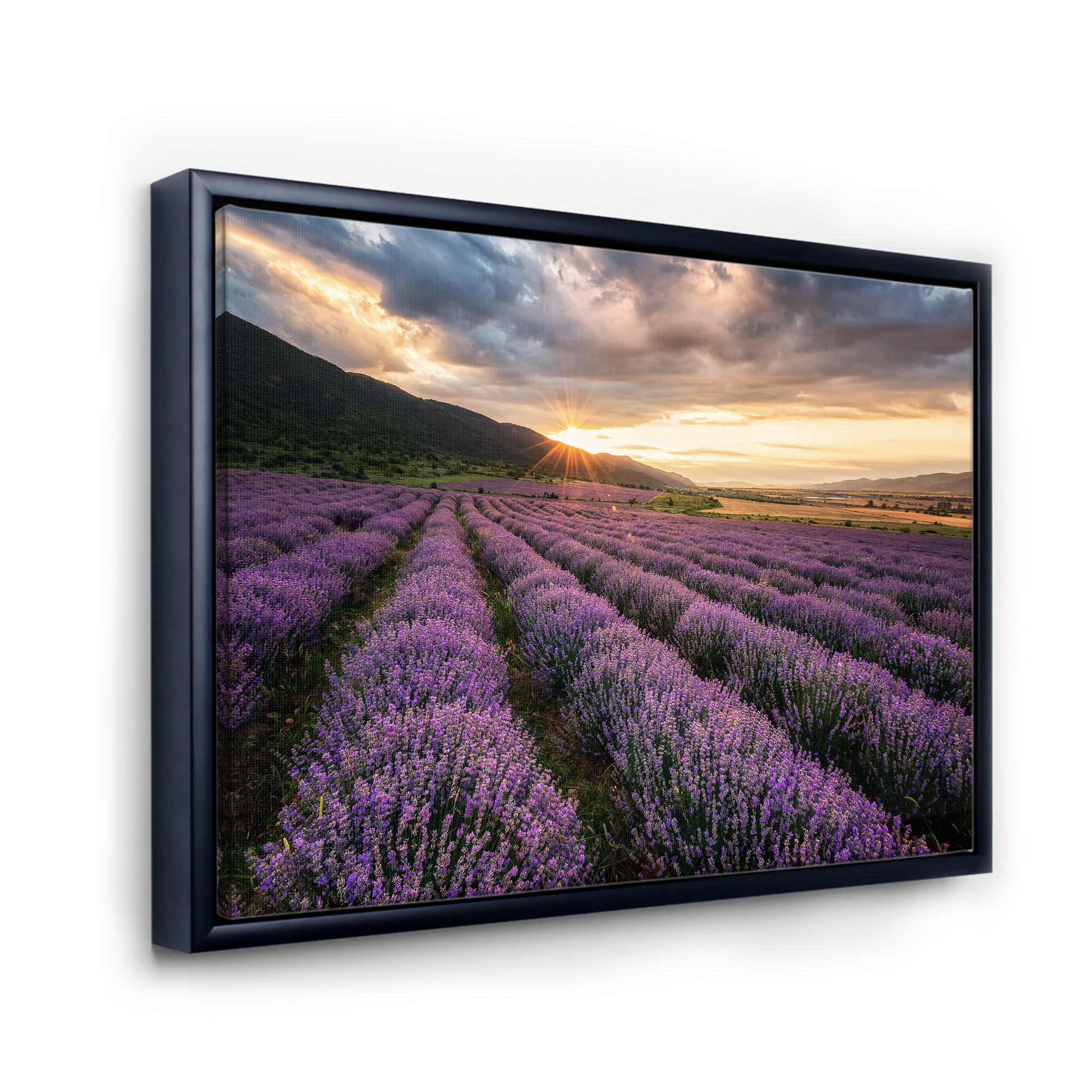 Designart 'Dramatic Clouds and Sunrise Over Lavender Field VI' Farmhouse Framed Canvas Wall Art Print
