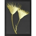 thumbnail image 2 of Stellar Design Studio 15x18 Gold Ornate Wood Framed with Double Matting Museum Art Print Titled - Forms in Nature 2, 2 of 4