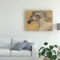 thumbnail image 3 of Trademark Fine Art 'Into The Wind' Canvas Art by Albena Hristova, 3 of 3