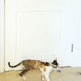 thumbnail image 3 of Simulation Lapin Chat Jouet Rétractable Chat Bâton Corde à Gratter Souris Chat Jouet Interactif Drôle Auto-Hey Suspendu Porte Chat Fournitures, 3 of 7