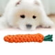 thumbnail image 4 of Juguete duradero para masticar perros Zulema Nudo masticable de cuerda de algodón Zanahoria 22cmx3cm, 4 of 8