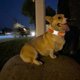 thumbnail image 4 of Pet GPS Locator Tracker Tracking Dog Cat Collar Anti-Lost Device Blanco, 4 of 8