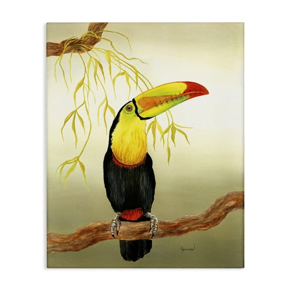 Stupell Industries Coastal Toucan on Forest Branch Canvas Art, 16 x 20, by Christine Reichow