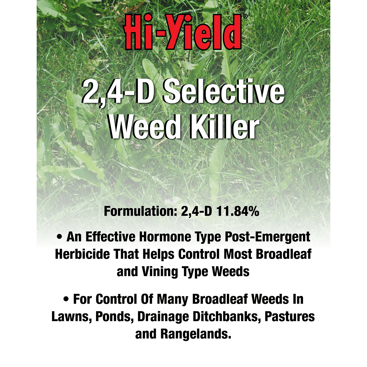 Hi-Yield (21415) 2,4-D Selective Weed Killer (32 oz)