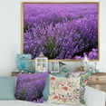 thumbnail image 2 of Designart 'Blooming Purple Lavender Meadow' Farmhouse Framed Canvas Wall Art Print, 2 of 5