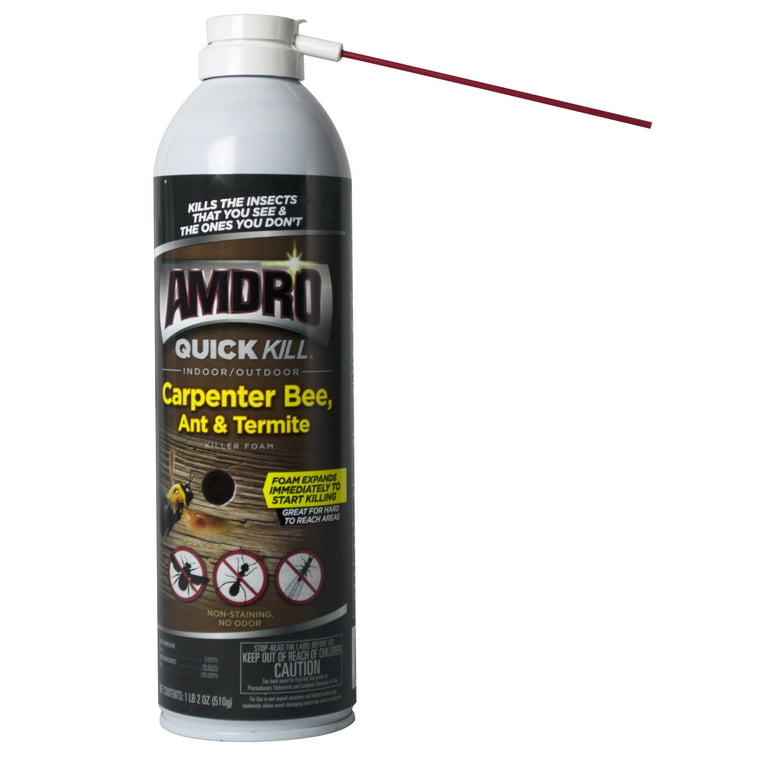 Carpenter clearance bee killer