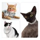 thumbnail image 5 of Collares Personalizados Para Perros Y Gatos, Cadena Dorada C, 5 of 8