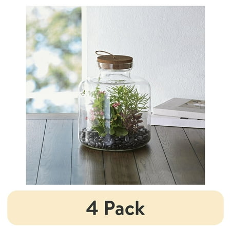 (4 pack) Better Homes & Gardens Indoor Cylindrical Medium Glass Terrarium