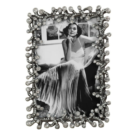 Luxury Jeweled Pewter Picture Frame - 4"x6" (Silver)