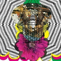 Aids Wolf - Lovvers LP - Music & Performance - CD